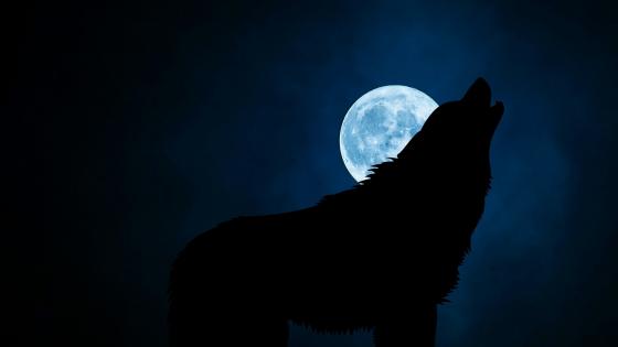 Moonlit Howl of Mystery wallpaper