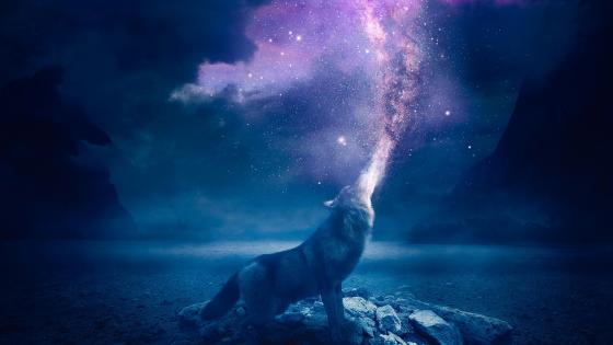 Wolf howling stars wallpaper
