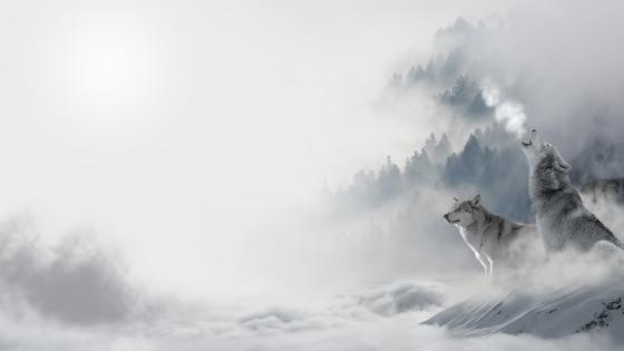 Wolves of the Winter Mist wallpaper