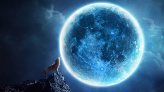 Moonlit Howl in a Fantasy World wallpaper