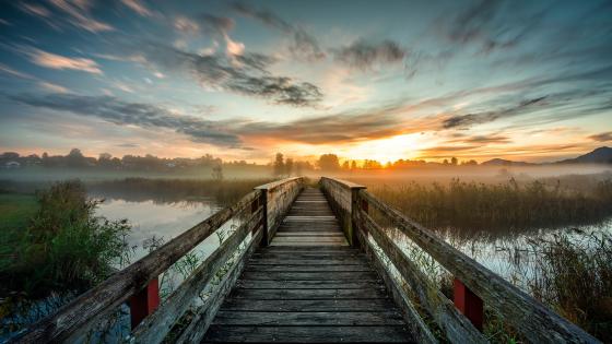 Serene Evening on the Foggy Boardwalk Over the Lake wallpaper