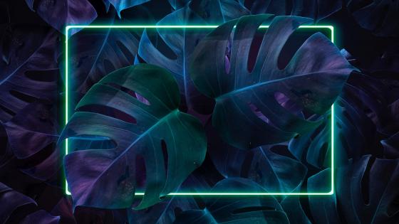 Neon Botanical Glow in the Dark wallpaper