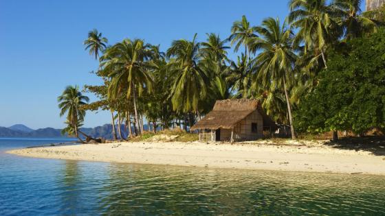 tropical beach hut wallpaper