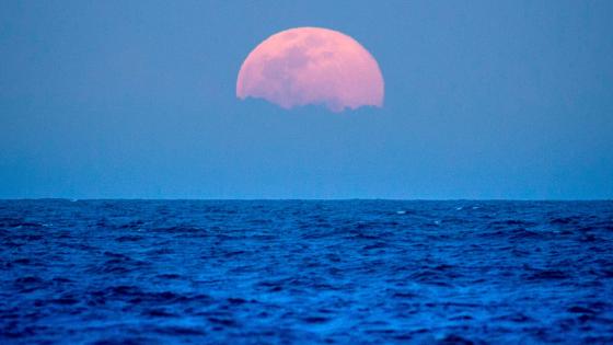 Rising moon from the beach wallpaper
