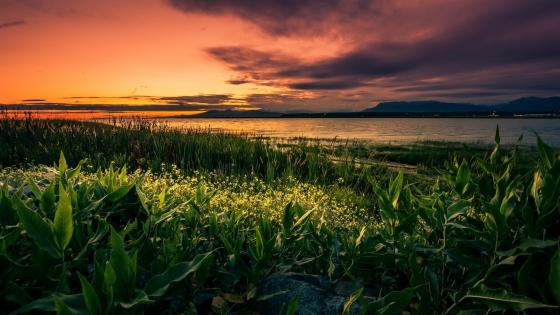 Serene Sunset Over Tranquil Lake Surface - backiee