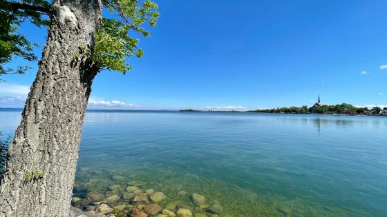 View of Lake Vättern - backiee