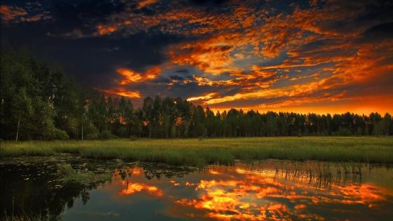 Serenity of Dusk Reflections in Nature wallpaper