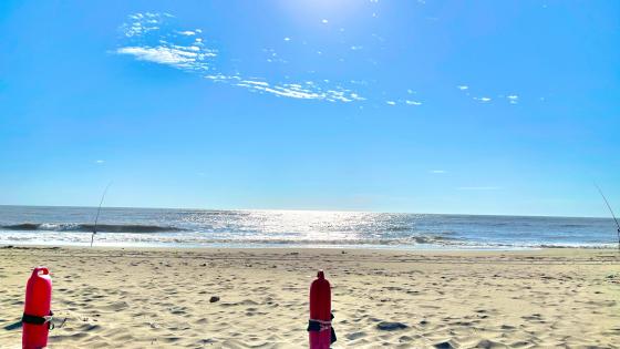 Beach - Lifeguard wallpaper