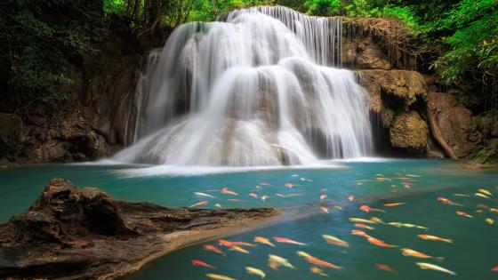 Huai Mae Khamin Waterfall wallpaper
