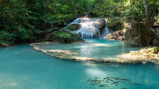 Erawan Waterfall (Kanchanaburi) wallpaper