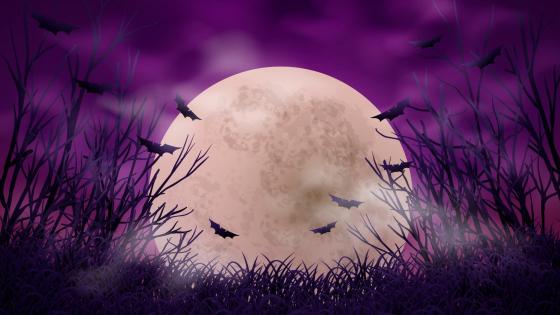 Spooky Night under a Full Moon wallpaper
