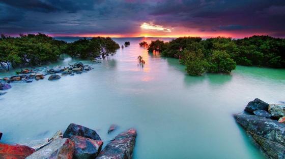 Serenity of a Coastal Sunset wallpaper