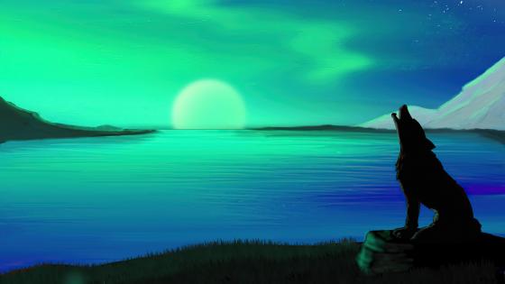 Lone Wolf Howling at Aurora Borealis wallpaper