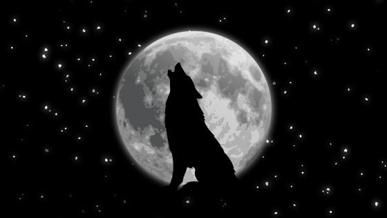 Howling wolf wallpaper