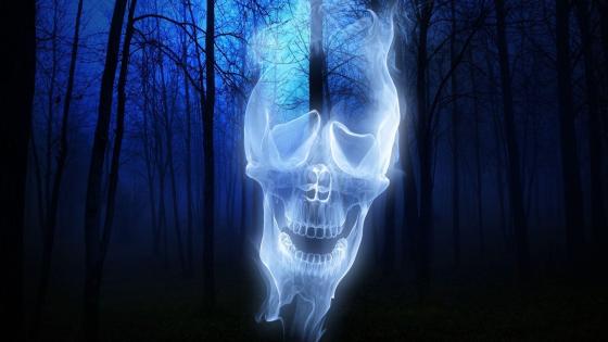Phantom Skull in Enchanted Forest wallpaper