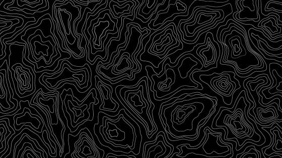 Abstract Monochrome Topographic Line Art wallpaper