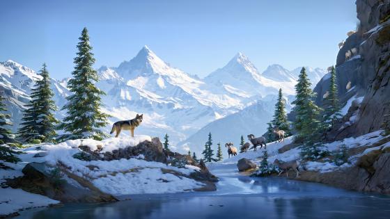 Wolf on Snowy Mountain wallpaper