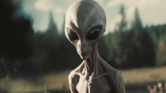 Alien Encounter in Mystical Forest - backiee