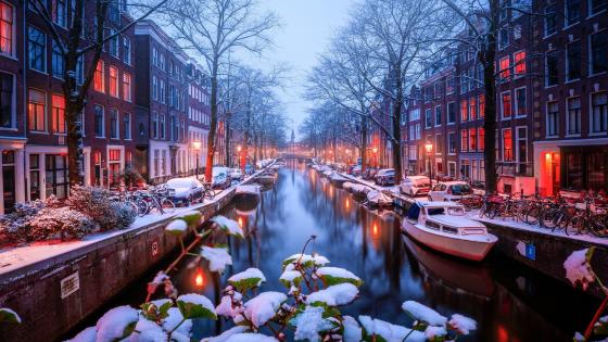 Snowy Amsterdam Canal Glow in Winter Twilight - backiee