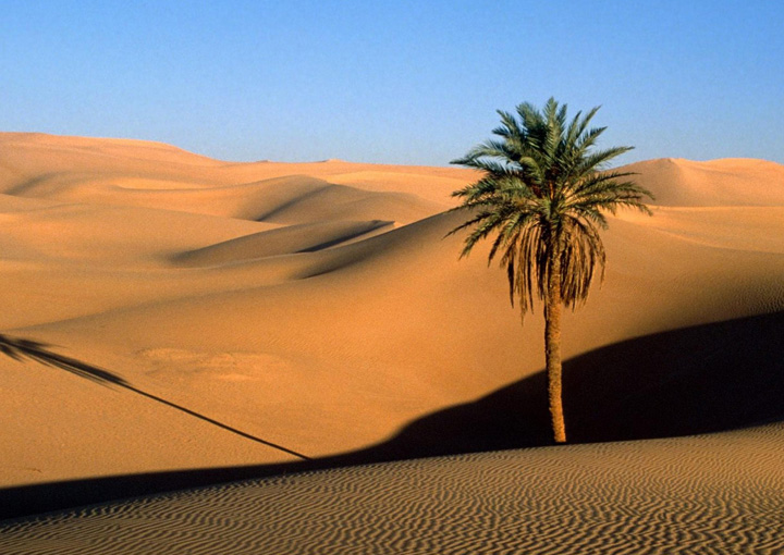 Sandy Deserts wallpapers