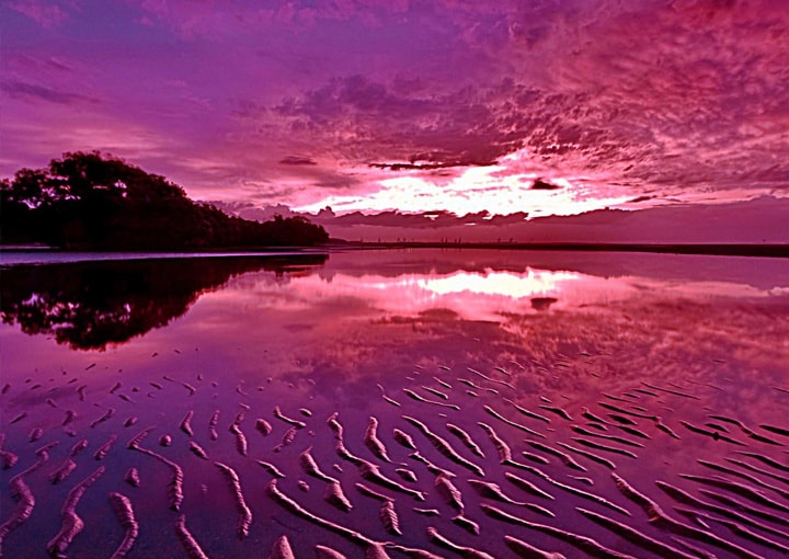 1000 Shades Of Purple wallpapers