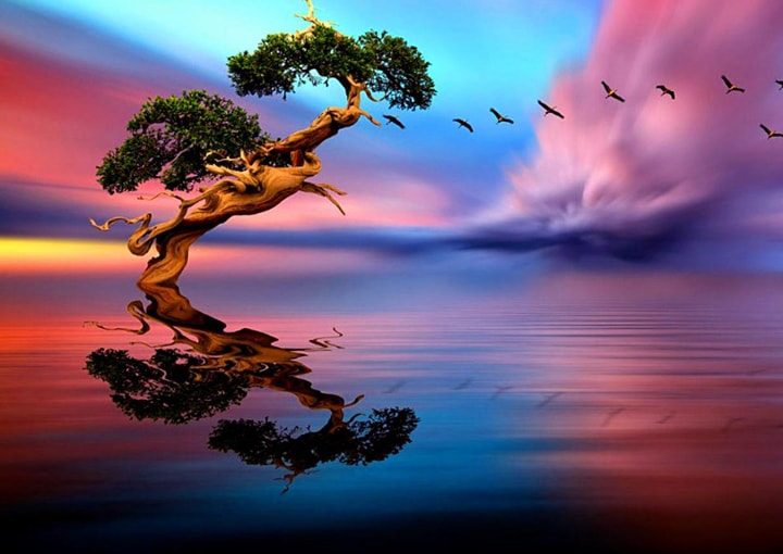Water Reflections wallpapers