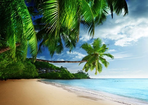 Summer Holiday wallpapers