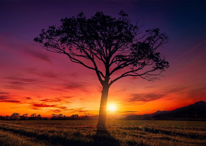 Sunset wallpapers