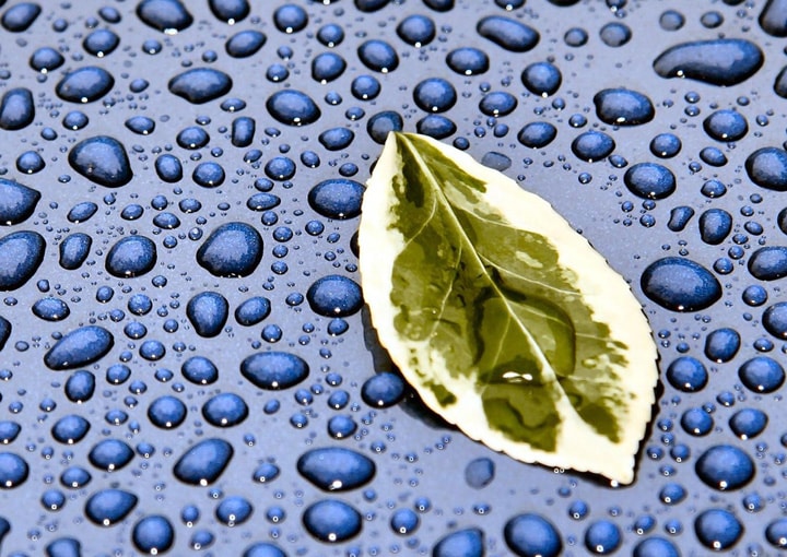 Water Drops wallpapers