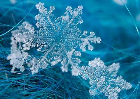 Winter wallpapers