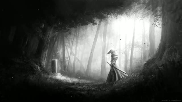 Girl standing in a mysterious misty forest live wallpaper