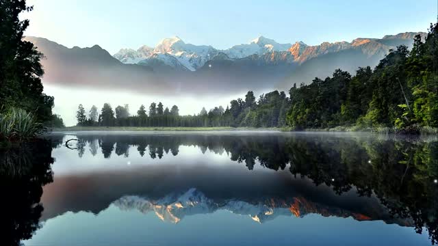 Lake and forest in early morning live wallpaper