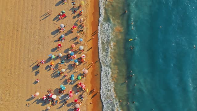 Top view of crowded beach live wallpaper