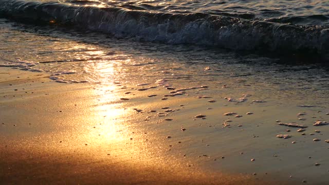 Golden waves on evening beach live wallpaper