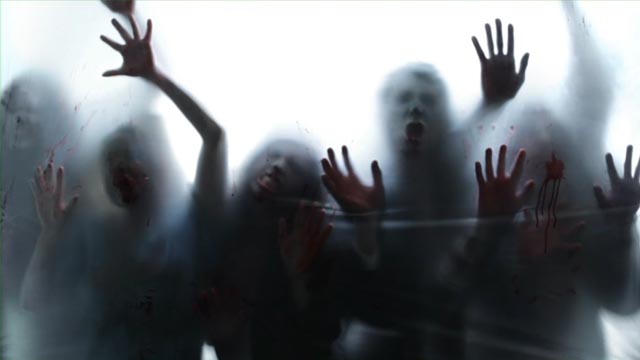 Zombie hands on foggy glass live wallpaper