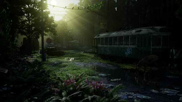 Abandoned house hidden in forest live wallpaper