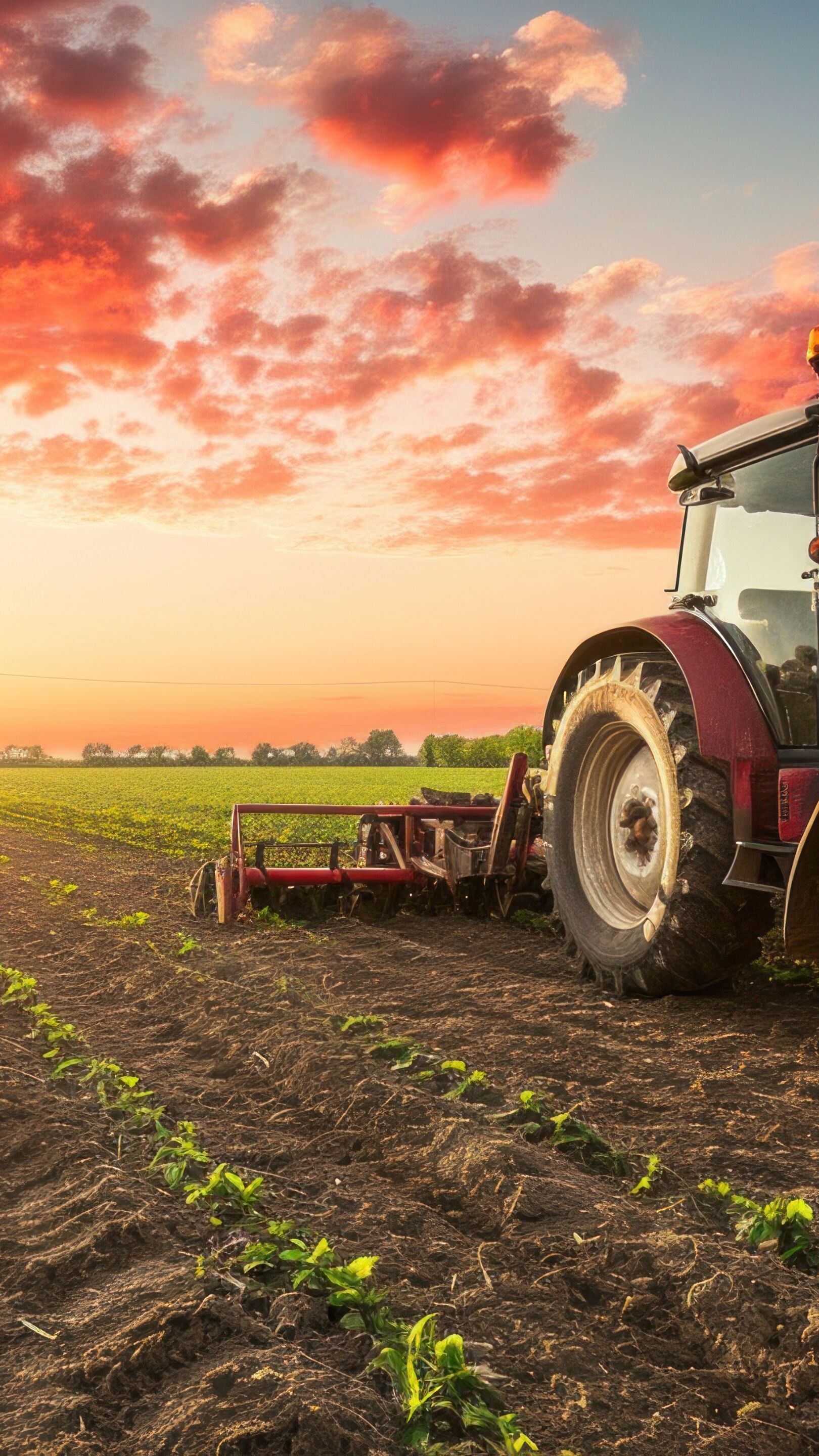 Sunrise Power Tractor Working the Freshly Planted Field in 5K - backiee