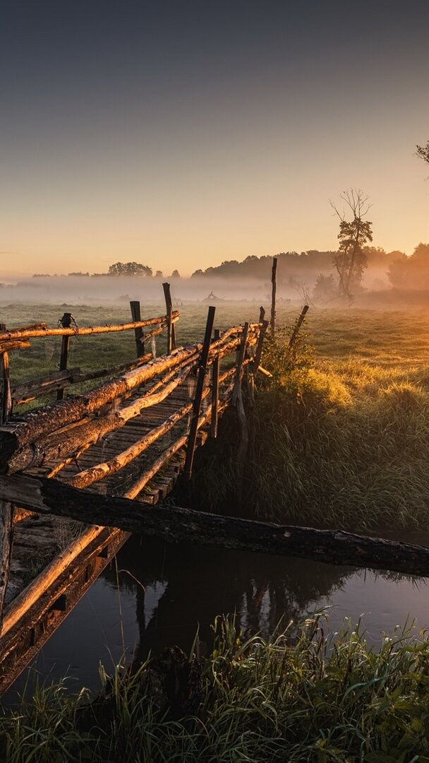 Misty Sunrise Over Wooden Bridge and Quiet Canal Field - backiee