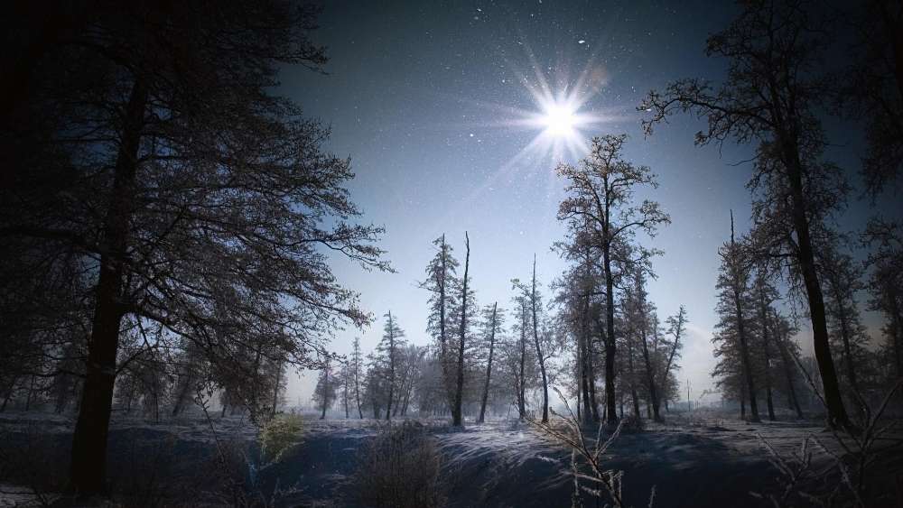 Wallpaper from nature category