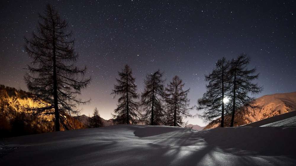 Wallpaper from nature category