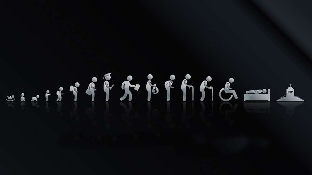 Funny life cycle evolution wallpaper