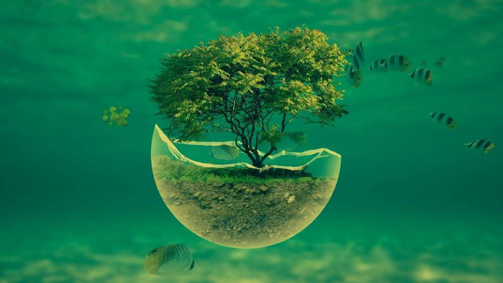 Wallpaper from fantasy category