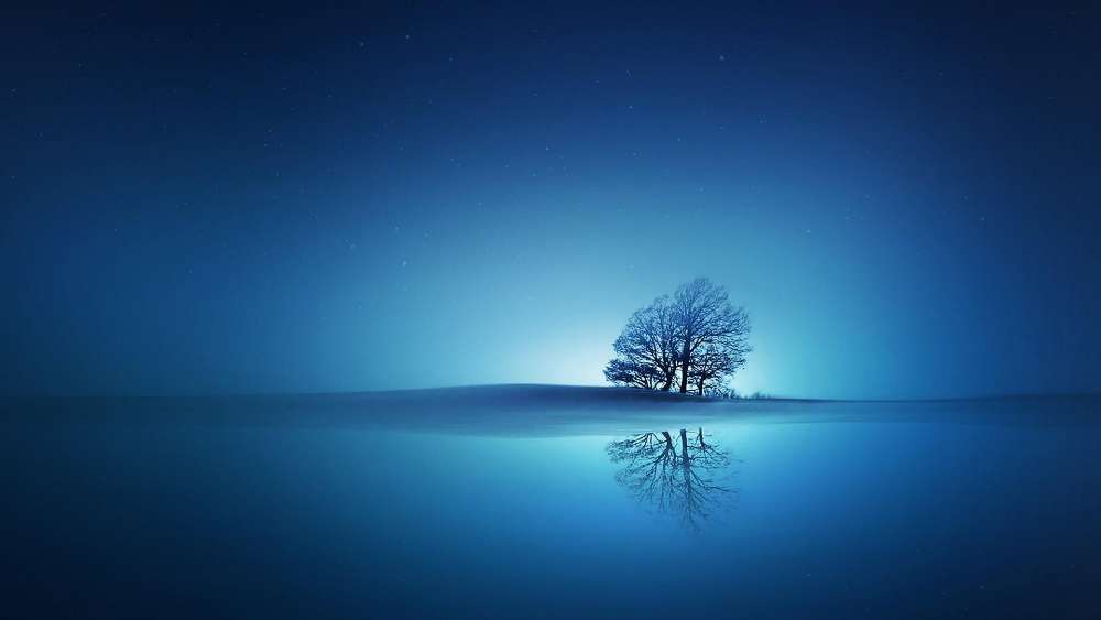 Lone tree reflected in the blue water wallpaper