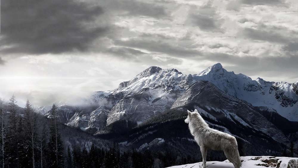 Wallpaper from nature category