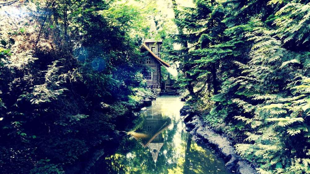 Wallpaper from nature category