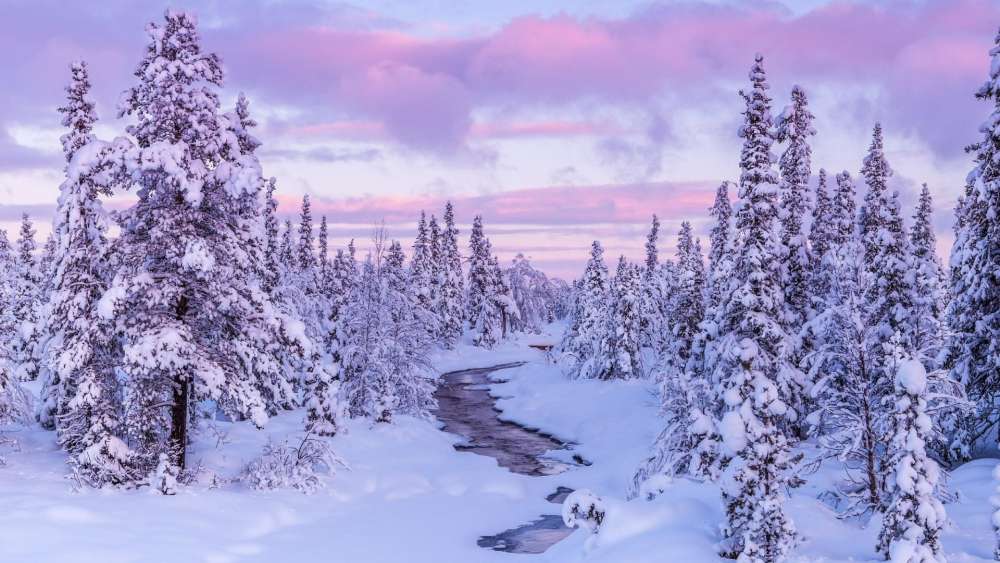 Wallpaper from nature category