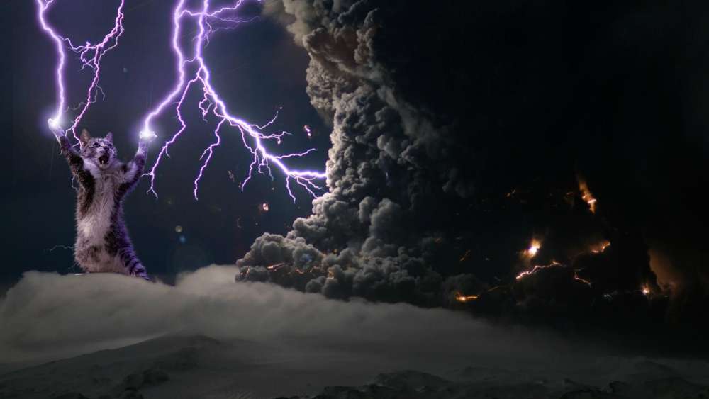 Wallpaper from funny category