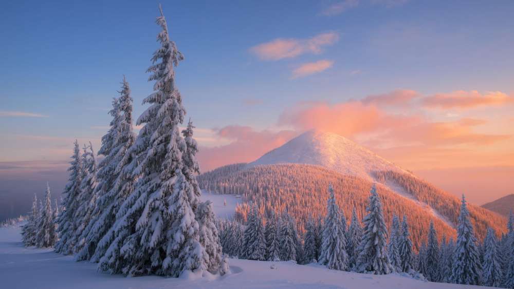 Carpathians at wintertime wallpaper