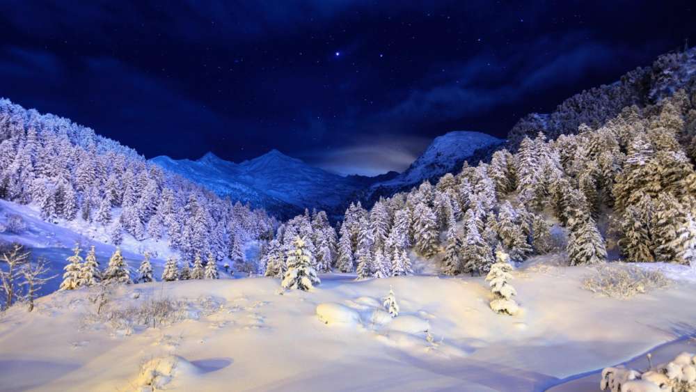Winter night ✨ wallpaper