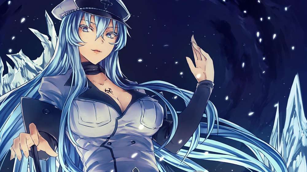 Icy Gaze of Esdeath from Akame ga Kill wallpaper